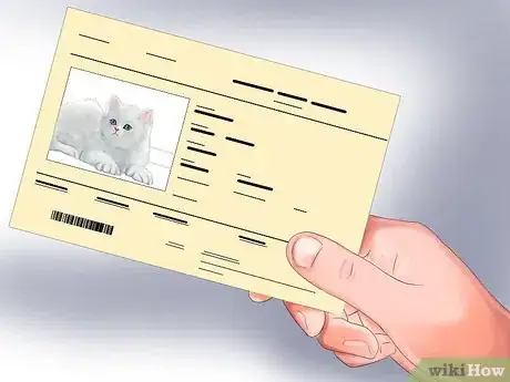 Image titled Choose a Cat Step 24