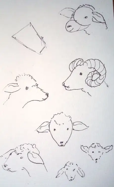 Image titled Sheepfeatures