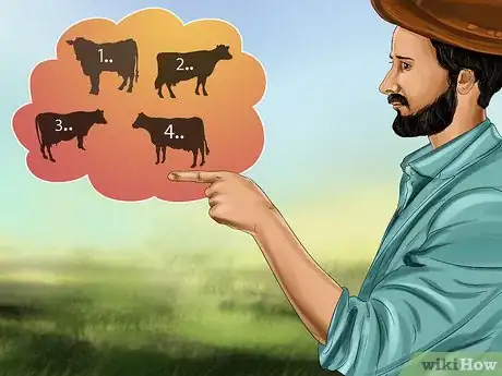 Image titled Sort Cows Step 7