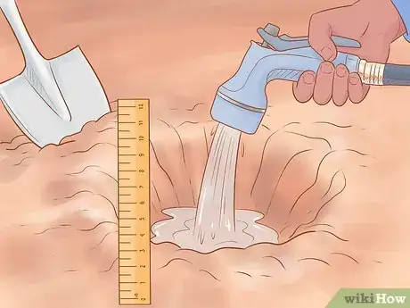 Image titled Plant Leyland Cypress Step 4