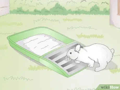 Image titled Buy Pet Training Supplies Step 11