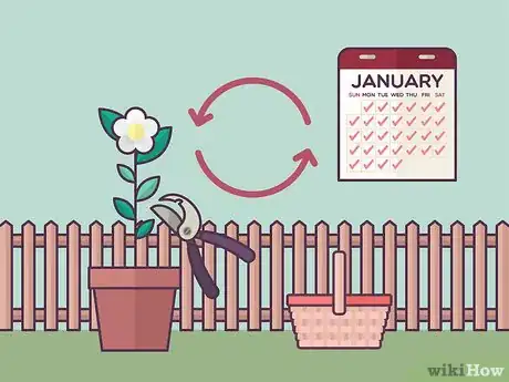 Image titled Grow Tea Step 17