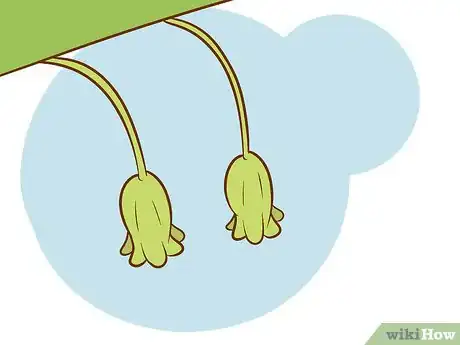 Image titled Plant Asparagus Step 10