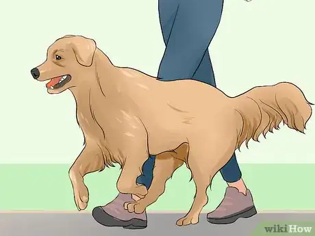 Image titled Keep Elderly Family Safe Around Active Dogs Step 1