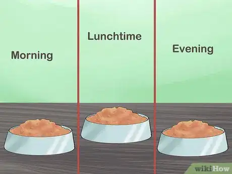 Image titled Feed a Yorkie Puppy Step 10