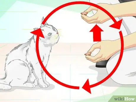 Image titled Make a Hyper Cat Sit Step 5