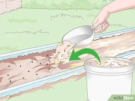 Image titled Grow Monkey Grass from Seed Step 11