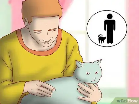 Image titled Know if You're Ready to Get a Cat Step 6