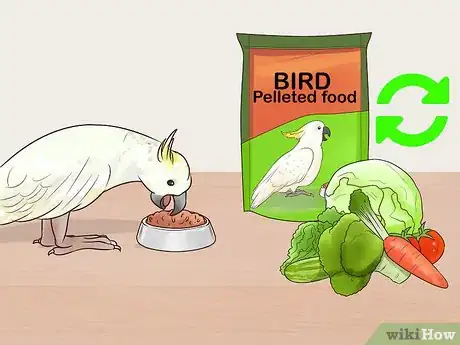 Image titled Deal with Obesity in Cockatoos Step 10