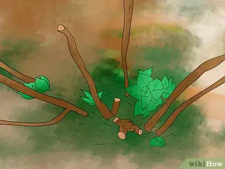 Image titled Prune Hydrangeas Step 6