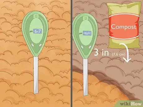 Image titled Grow an Herb Garden Step 5