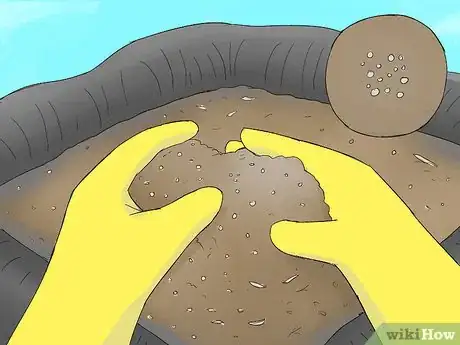 Image titled Grow Portobello Mushrooms Step 7