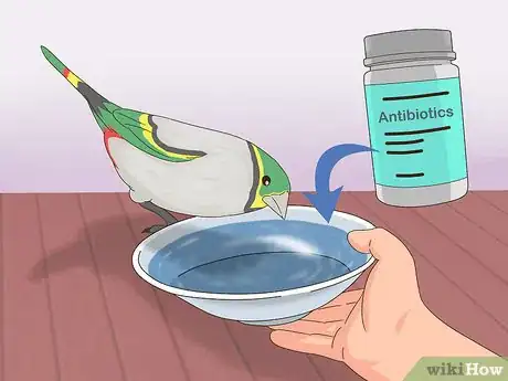 Image titled Treat Avian Pox in Finches Step 3