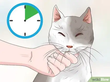 Image titled Countercondition a Cat Step 11