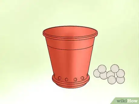 Image titled Plant Confederate Jasmine Step 18