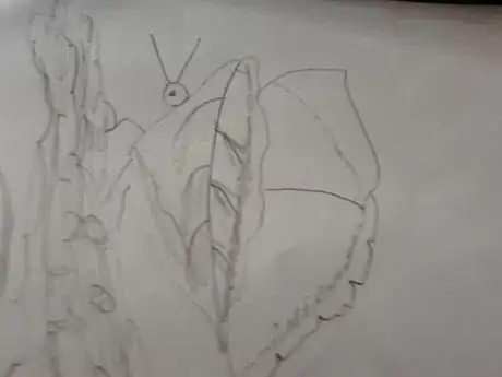 Image titled 20180706_142102