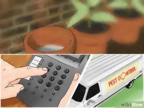 Image titled Control Mosquitoes Step 4