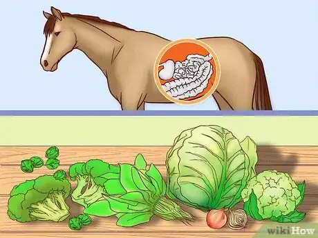 Image titled Find Safe Vegetables and Fruit for Horses Step 7