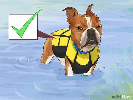 Image titled Protect Your Dog Around Natural Water Sources Step 6