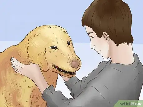 Image titled Keep Your Dog Calm After Neutering Step 2