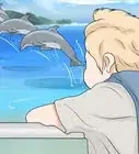 Pet a Dolphin