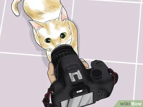 Image titled Photograph Pets Step 1