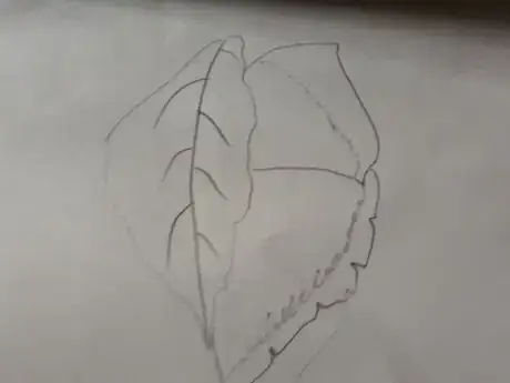 Image titled 20180706_141751