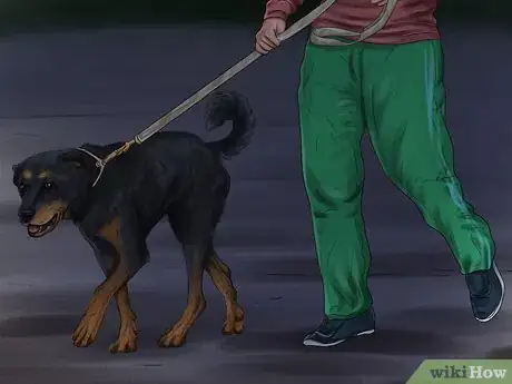 Image titled Walk Your Dog at Night Step 11