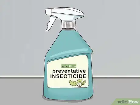 Image titled Grow Boronia Step 16