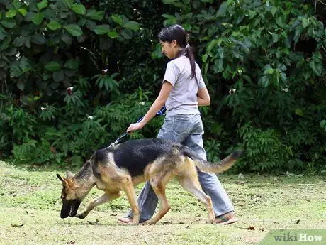 Image titled Treat Your Pets Like Royalty Step 3