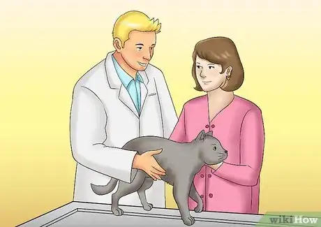 Image titled Care for a Cat with Kidney Failure Step 9