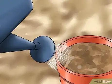 Image titled Grow Great Herbs Step 4