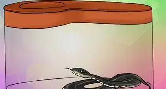 Catch a Garter Snake