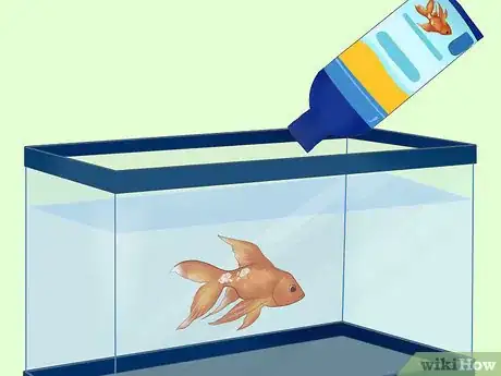 Image titled Treat Fungal Infections in Fish Step 3