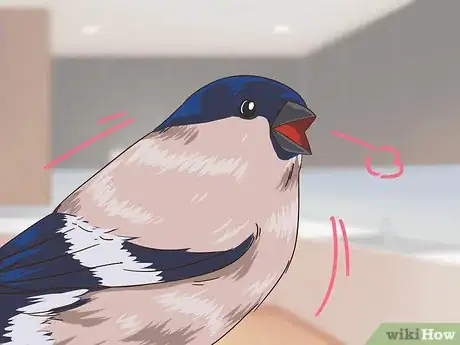 Image titled Treat Avian Pox in Finches Step 5