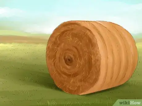 Image titled Treat and Prevent Nitrate Toxicity in Cattle Step 21