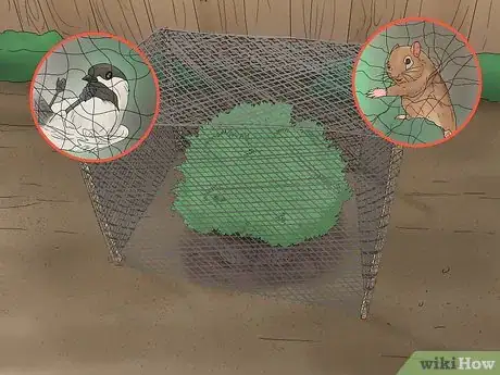 Image titled Protect Garden Berries Step 4