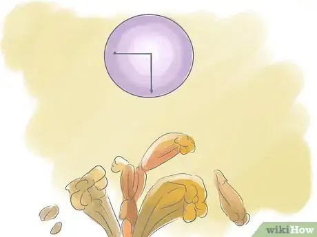 Image titled Prune a Trumpet Vine Step 6