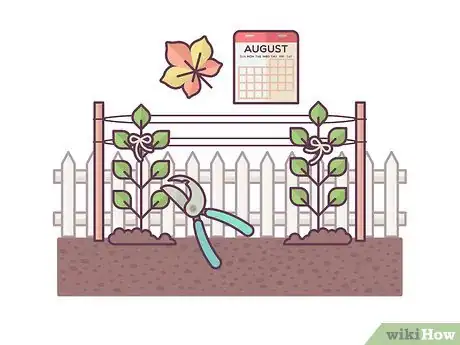 Image titled Grow Boysenberries Step 15