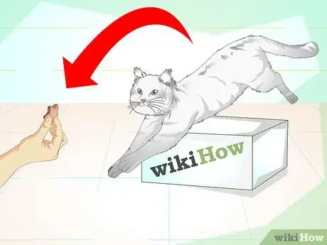 Image titled Make a Hyper Cat Sit Step 8