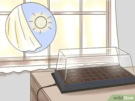 Image titled Grow Seedless Watermelons Step 7