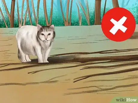 Image titled Prevent Ticks on Cats Step 6