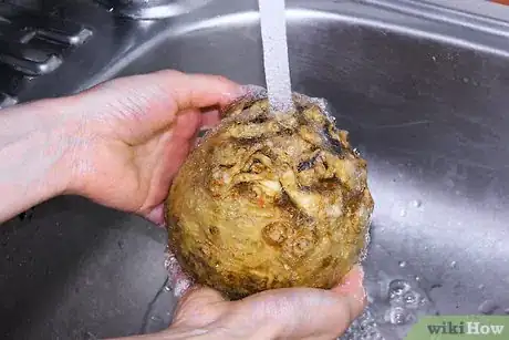 Image titled Cook Celery Root Step 1