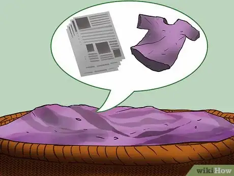 Image titled Keep a Pet Squirrel Step 14