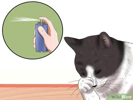 Image titled Diagnose Feline Retinal Disease Step 3