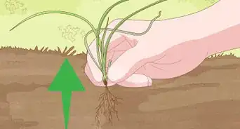 Build a Rock Garden with Weed Prevention