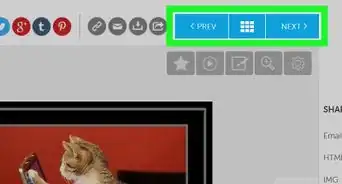 View Photobucket Images