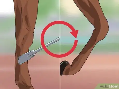 Image titled Train a Horse to Shake a Hoof Step 6
