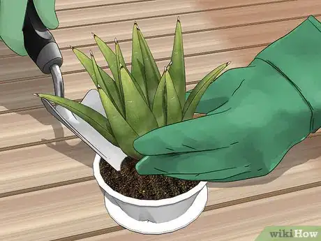 Image titled Create a Dish Garden Step 7