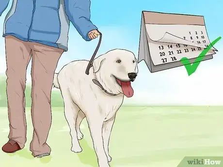 Image titled Adopt a Dog from a Humane Society or Animal Shelter Step 16